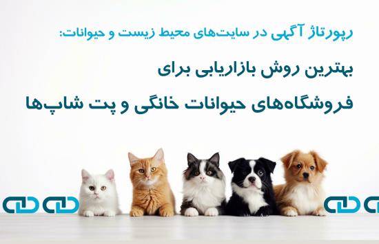 بهترین روش بازاریابی برای فروشگاه های حیوانات خانگی و پت شاپ ها